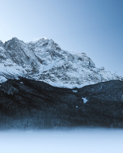 白雪覆盖的山脉附近的树下蓝色的晴空白天
